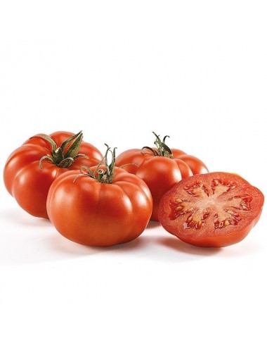 Tomate Ensalada