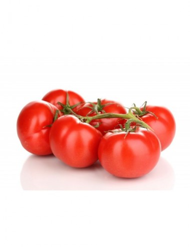 Tomate Rama