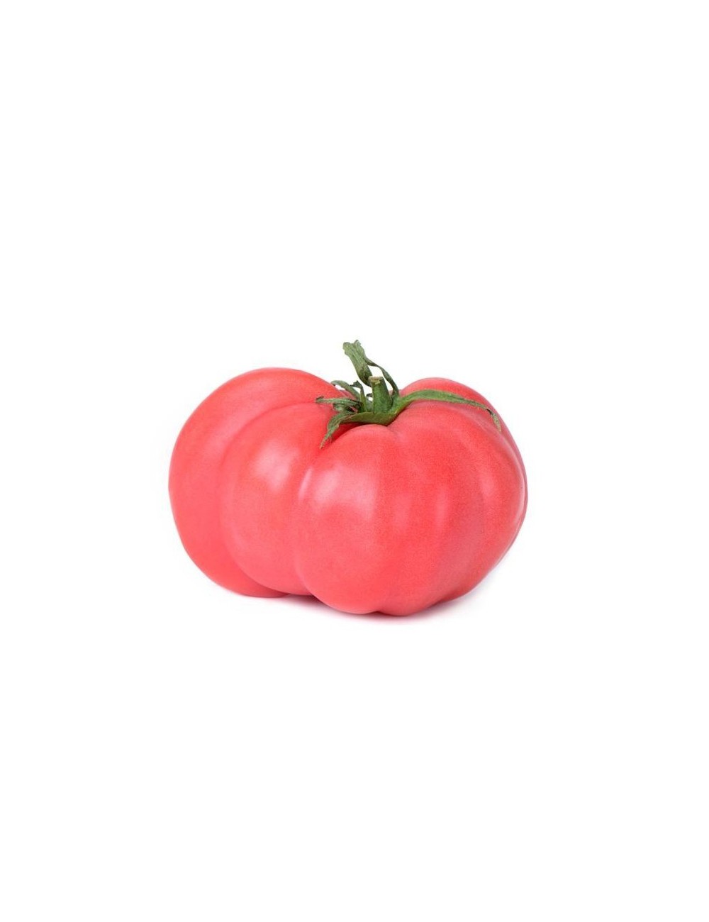 rosa Tomate