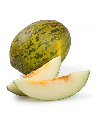 Melon Extra