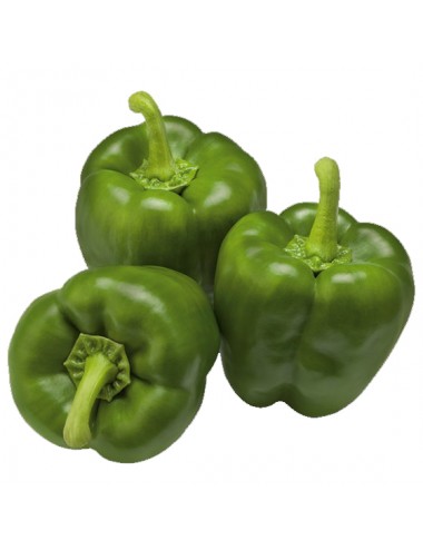 Pimiento Verde